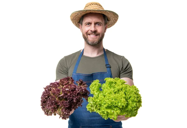 Selective Focus Farmer Apron Hat Lettuce Vegetable Isolated White — Zdjęcie stockowe