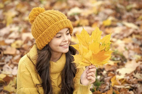 Sorrindo Menina Adolescente Chapéu Amarelo Segurar Folha Bordo Livre Parque — Fotografia de Stock