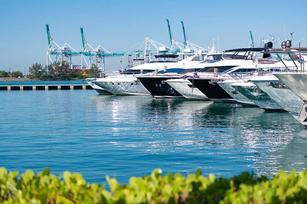 Luxury Motor Yacht Boats Sea Port South Beach Usa — Stock fotografie