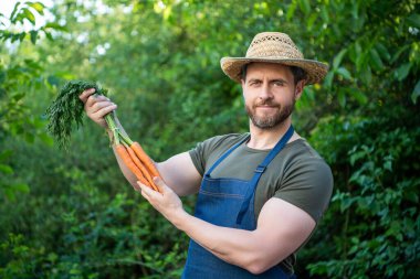 Hasır şapkalı manavın elinde havuç var..
