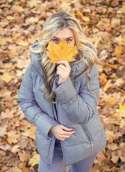 Рад Рядом Женская Красота Стиль Женщина Длинными Волосами Осеннем Лесу — стоковое фото