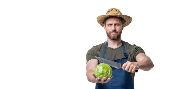 Man Apron Hold Cabbage Knife Isolated White Background Copy Space — ストック写真