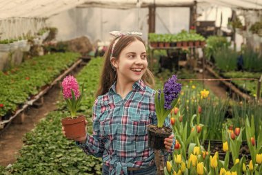 Neyi seçeceğimi. Seradaki mutlu genç kız çiçekçi. Bahar ve yaz. Saksı bitkileri ekiyorum. Çocuk bahçıvanı. Bahçedeki çiçekler. Günlük ev işleri. Çiçek bakımı. Bahçecilik. Çocuklar için bahçe etkinliği.
