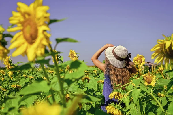 Χαριτωμένο Κορίτσι Ψάθινο Καπέλο Περπάτημα Ηλιοτρόπια Αγρόκτημα Καλοκαιρινές Διακοπές — Φωτογραφία Αρχείου