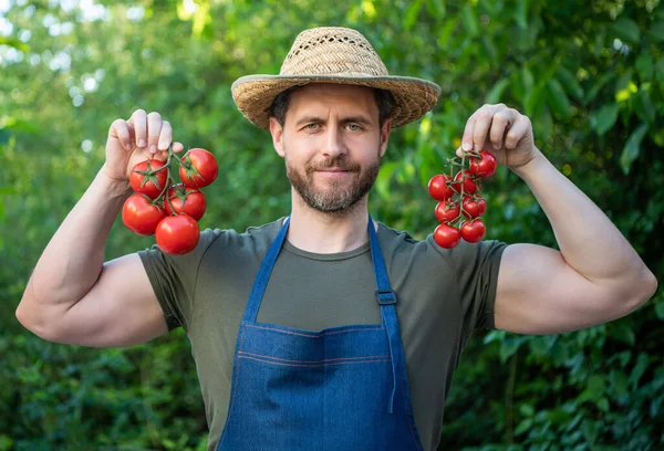 Man Greengrocer Straw Hat Tomato Bunch — Fotografia de Stock