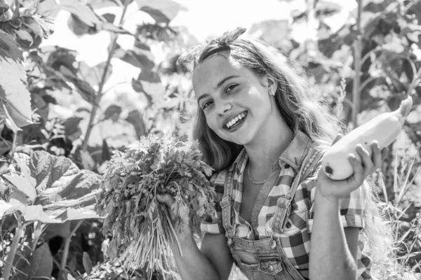 Küçük Bahçıvan Kız Çiftlikten Taze Yiyecek Yetiştiriyor — Stok fotoğraf