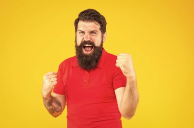 Kızgın bağıran erkek portresi. Sakallı, olgun bir hippi. Bıyıklı, vahşi beyaz adam. Sarı arka planda kendine güvenen ve yakışıklı sakallı bir adam. saç ve sakal bakımı.