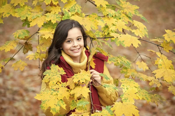 自然の美しさ 秋のファッション 10代の女の子は黄色い紅葉を持っています カエデの葉の屋外で陽気な子供 秋の自然 子供の頃の幸せ — ストック写真