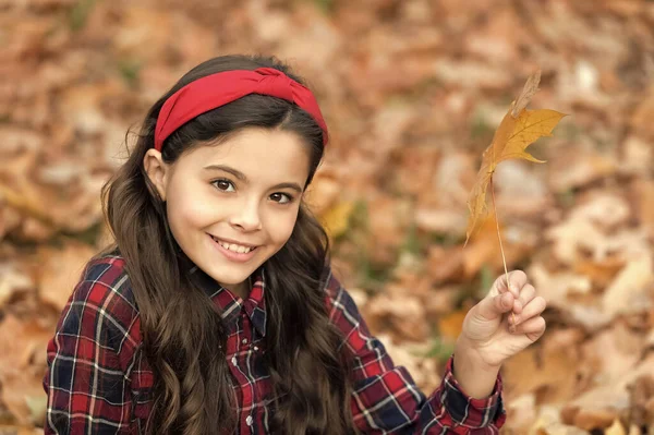 快乐的孩子穿着校服抱着秋天枫叶户外 — 图库照片