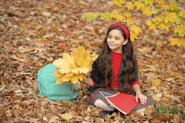 Üniformalı mutlu çocuk sonbahar akçaağaç yapraklarını okul çantası, defter ve okulla birlikte tutar..