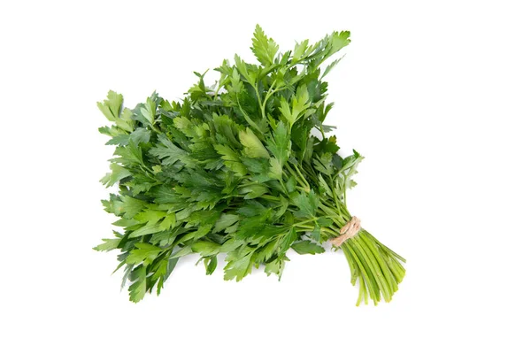 Fresh Ripe Parsley Bunch Isolated White — стоковое фото