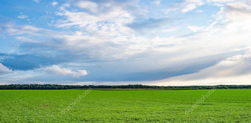 panoramic view of scenery landscape with horizon and grassland.