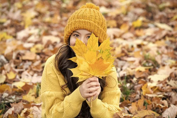 Portret Nastolatki Kapeluszu Posiadają Jesienny Liść Pozytywne Dziecko Bawiące Się — Zdjęcie stockowe