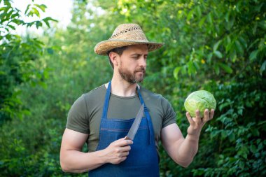 Hasat şapkalı adam lahanayı bıçakla kesti..