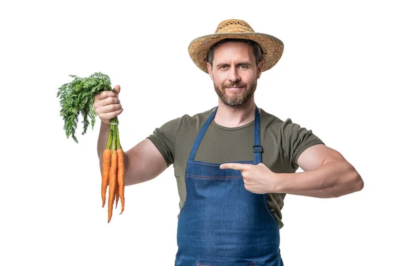 Man Apron Hat Carrot Vegetable Isolated White Pointing Finger — Stockfoto