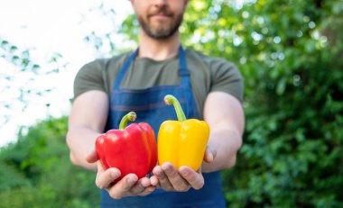 Kesilmiş manavın seçici odak noktası dolmalık biberli hali..