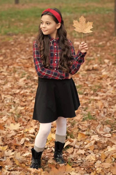 Веселый Ребенок Школьной Форме Провести Осень Кленовый Лист Открытом Воздухе — стоковое фото