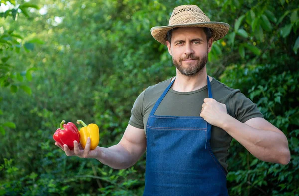 Healthy Man Greengrocer Straw Hat Bell Pepper — Zdjęcie stockowe