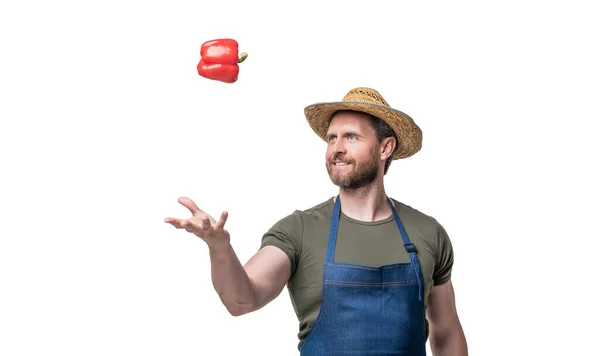 Man Apron Hat Sweet Pepper Vegetable Isolated White Vegetarian — Stok Foto