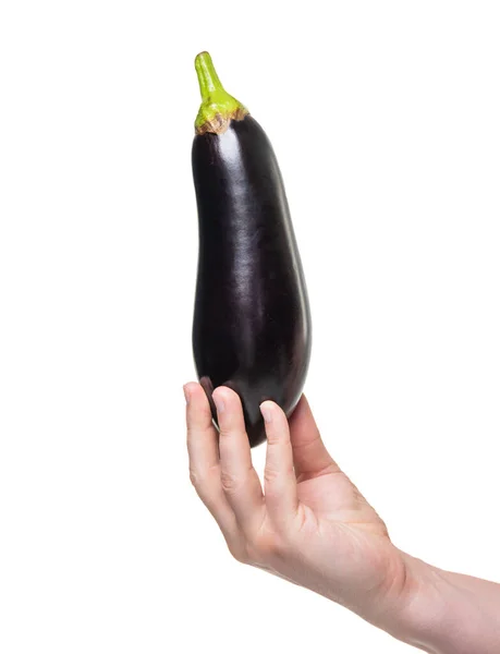 Eggplant Vegetable Hand Isolated White Background Organic Food — Stok fotoğraf