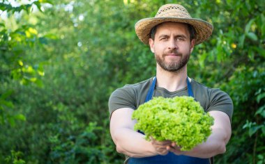 man greengrocer in straw hat with lettuce leaves. copy space.