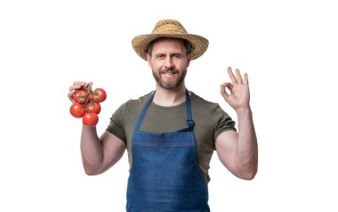 Önlüklü, şapkalı, domates sebzeli, beyaz tenli bir adam. Tamam.