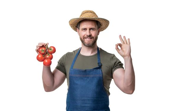 Man Apron Hat Tomato Vegetable Isolated White — Zdjęcie stockowe