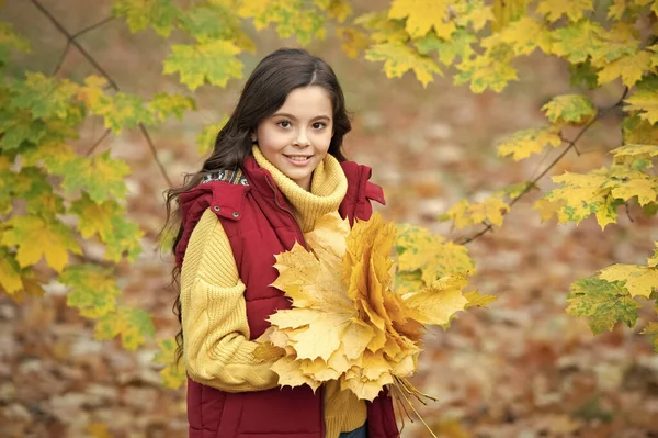 Tienermeisje Wacht Geel Herfstblad Lachend Kind Met Esdoorn Blad Buiten — Stockfoto