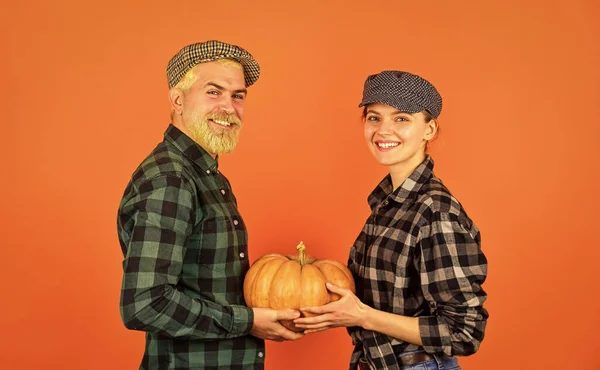 Farmers market. Autumn mood. Couple in love checkered rustic outfit hold pumpkin. Autumn routines. Farmer family concept. Harvesting season. Autumn harvesting works. Work at fields. Harvest festival.