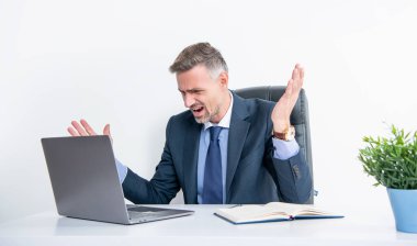 mature stressed boss shouting in business office.