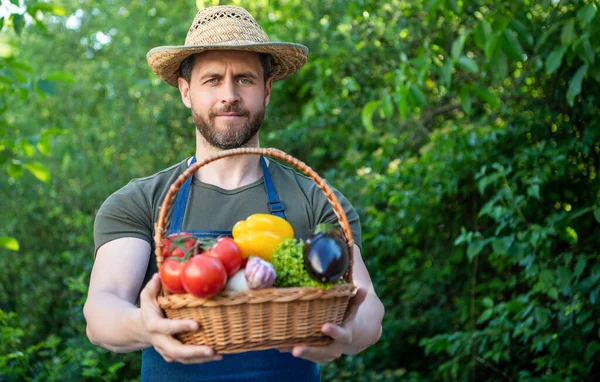 agricultural man in straw hat hold basket full of vegetables.