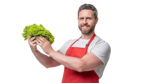 Cheerful Man Apron Lettuce Vegetable Isolated White — 스톡 사진