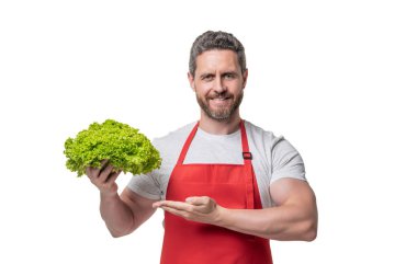 man in apron with lettuce vegetable isolated on white. presenting product.