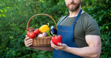 cropped view of gardener hold basket full of vegetables.