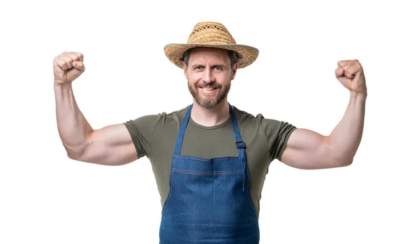 Strong Caucasian Man Hat Apron Isolated White Background — Foto Stock