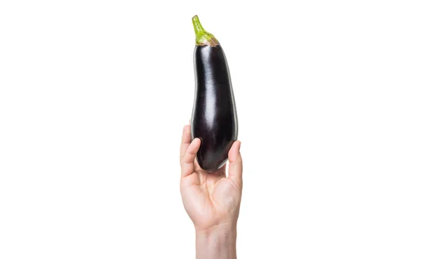 Ripe Eggplant Vegetable Hand Isolated White Background — Photo