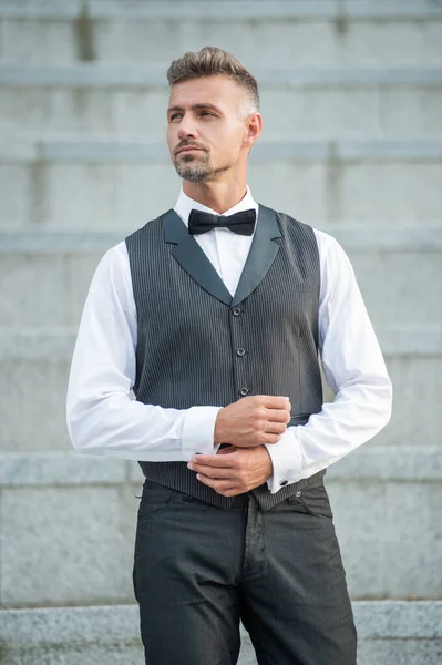 elegant man in bowtie. luxury grizzled man in formalwear. tux man bridegroom.