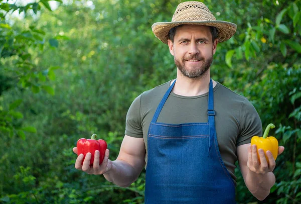 Man Greengrocer Straw Hat Sweet Pepper Copy Space — Stockfoto