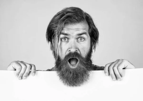 Beard Shape Surprised Mature Man Guy Beard Hold Banner Brutal — Stock Photo, Image