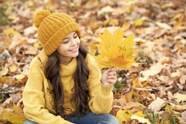 Belleza Natural Moda Temporada Otoño Retrato Chica Adolescente Sombrero Celebrar — Foto de Stock