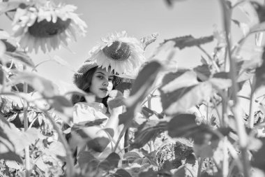 Sarı çiçeklerin arasında saman şapkalı neşeli çocuk. Yaz ayçiçeği tarlasında küçük bir kız. Mutlu çocuklar günü. çocukluk mutluluğu. Güzel ayçiçekli mutlu çocuk portresi. Atmosferi uyar.