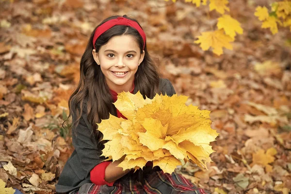 Cheerful Kid School Uniform Hold Yellow Autumn Maple Leaves Outdoor — Stock fotografie