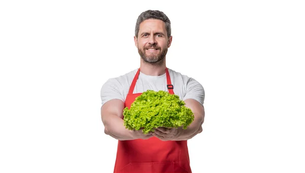 Happy Man Apron Lettuce Vegetable Isolated White — Stockfoto