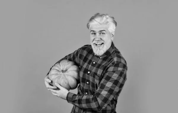 Granjero Lleva Calabaza Grande Hombre Barbudo Granjero Rústico Presentando Verduras — Foto de Stock