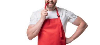 cropped view of man in apron with chili vegetable isolated on white.
