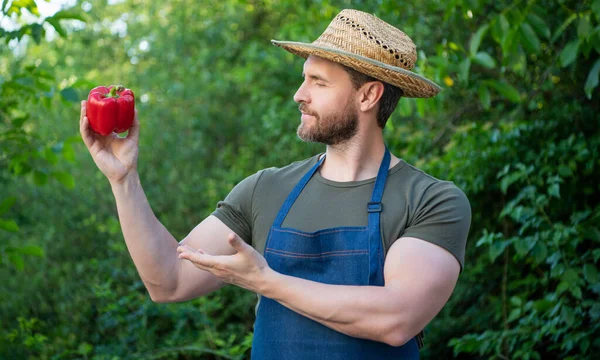 Man Greengrocer Straw Hat Presenting Sweet Pepper — Foto Stock