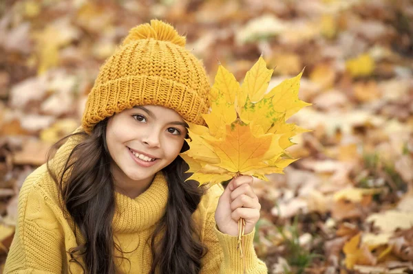 黄色の帽子の幸せな子供は秋公園でカエデの葉の屋外を保持します — ストック写真