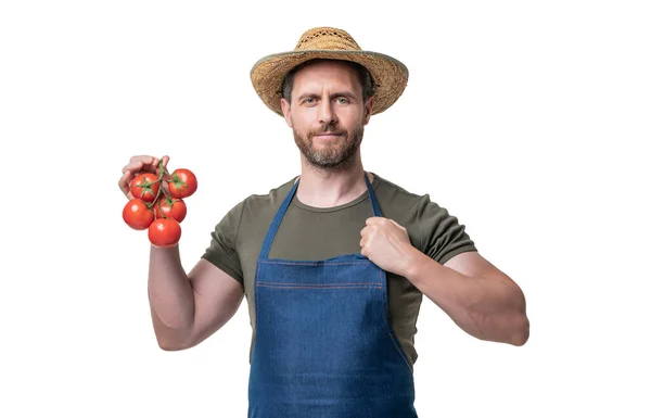 Gardener Apron Hat Tomato Vegetable Isolated White — Stock fotografie