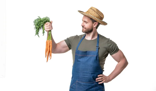 Man Apron Hat Carrot Vegetable Isolated White — 스톡 사진