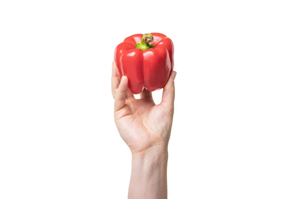 Fresh Sweet Pepper Vegetable Hand Isolated White Background — Foto de Stock